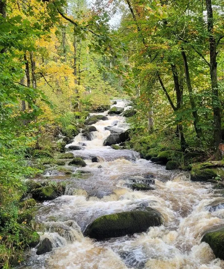 Ferienwohnung Bayerwaldblick Jandelsbrunn Germany