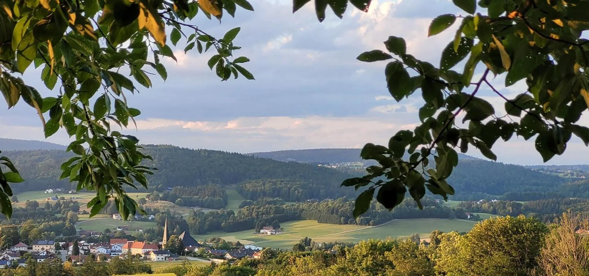 Ferienwohnung Bayerwaldblick Jandelsbrunn